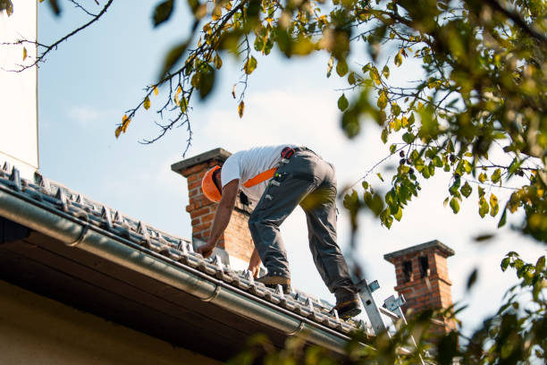 Best Metal Roofing Contractor  in West Slope, OR